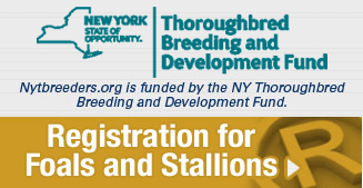 Registration for Foals and Stallions