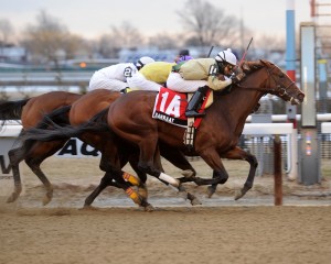NYRA/Chelsea Durand