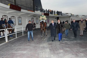 Adam Coglianese