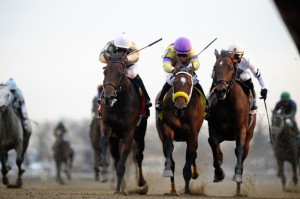 Adam Coglianese