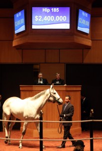 Fasig-Tipton photo