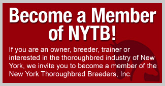 Become a Member