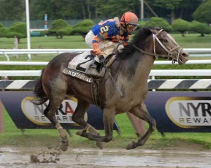 Adam Coglianese