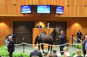 hip350_01b_ft08_13_nybred_hr