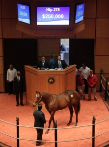 Fasig-Tipton photo