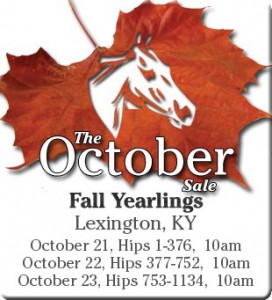 October Fall yearlings