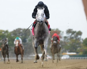 Adam Coglianese