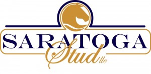 saratogastud_logo