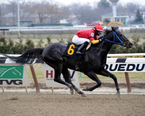 Adam Coglianese