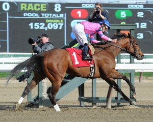 NYRA/Susie Raisher