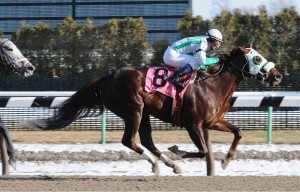 NYRA/Adam Coglianese