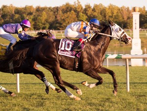 ©Jim McCue/Maryland Jockey Club