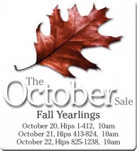 FT Oct  yearlings 14 logo