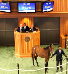 Hip 166 (Fasig-Tipton photo)