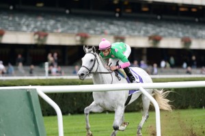 NYRA/Adam Coglianese