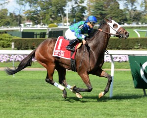 NYRA/Adam Coglianese