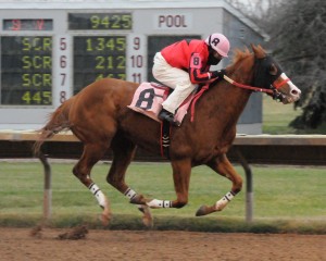 Dreamboat (Freud) takes FLGR closing day feature (SV Photography)