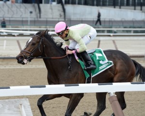 NYRA/Joe Labozzetta