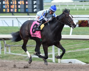 Coglianese Photos