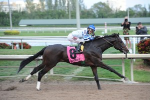 G2 Holy Bull (Coglianese Photos/Leslie Martin)