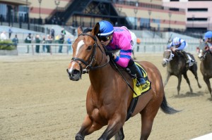 NYRA/Adam Coglianese