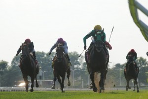 NYRA/Adam Coglianese