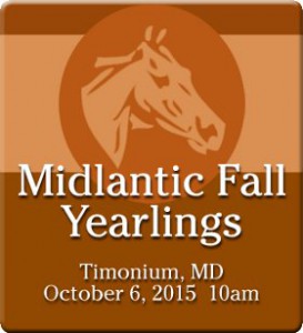 midlantic fall yearlings 15 logo