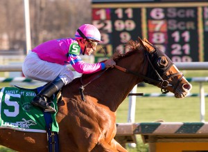 Jim McCue/Maryland Jockey Club