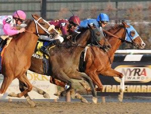 Alex M. Robb 12/31/11 (NYRA/Adam Coglianese)