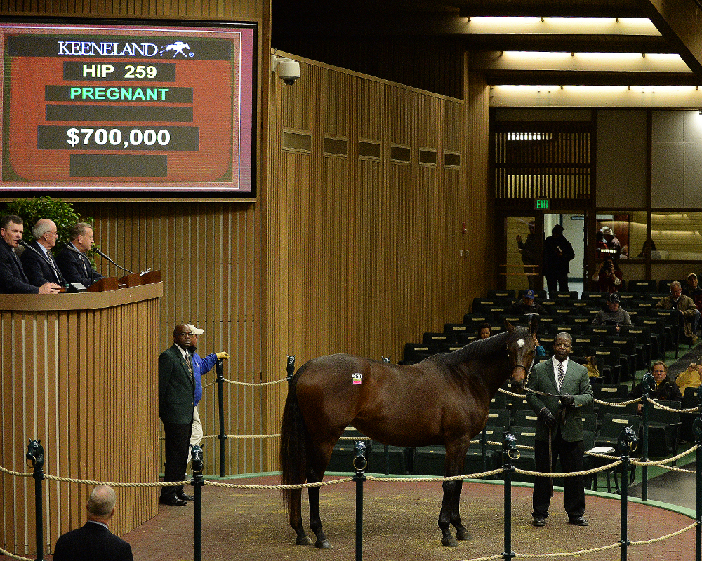 NYbreds from Leigh dispersal top opening session of Keeneland January