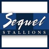 Sequel Stallions