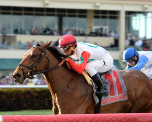 Coglianese Photos