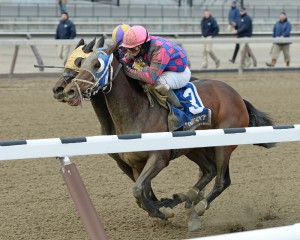 NYRA/Joe Labozzetta