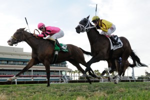 Coglianese Photos/Leslie Martin