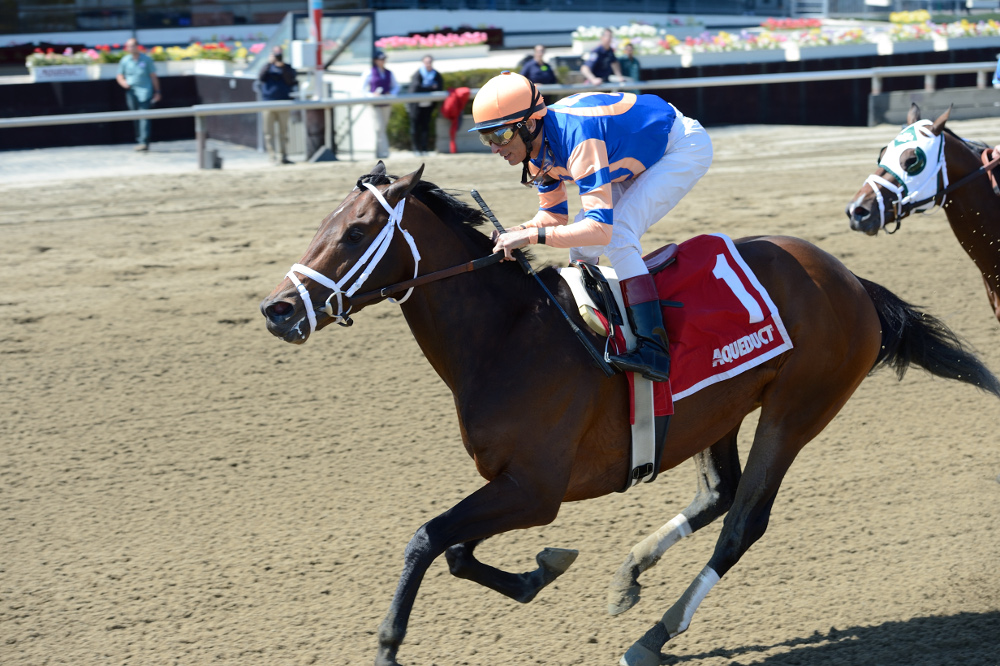 Sudden Surprise notches fifth stakes tally in NYSS Times Square New