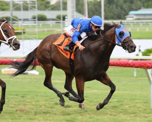 Coglianese Photos