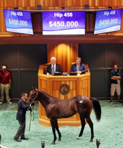 Hip 458/Fasig-Tipton