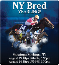 NY bred sale 16 cover