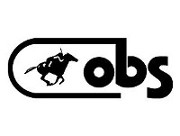 OBS Logo