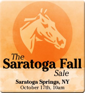 Saratoga Fall Sale