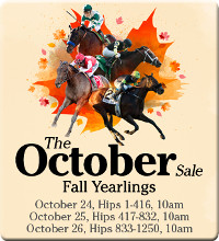 FT KY Fall yearling  sale 16 logo