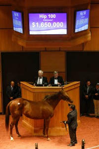 Fasig-Tipton Photo