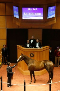 Fasig-Tipton Photo