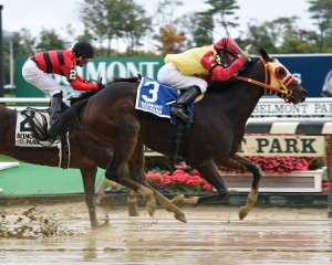 Breakin the Fever, Hudson H. (NYRA/Susie Raisher)