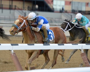 NYRA/Joe Labozzetta