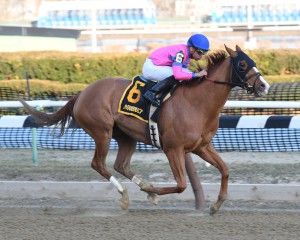 NYRA/Adam Coglianese