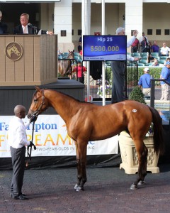 Hip 25 (Fasig-Tipton photo)