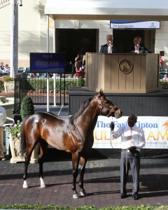 Hip 6 (Fasig-Tipton photo)