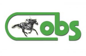 OBS color logo