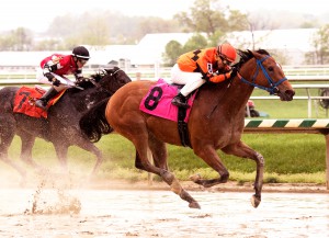 Jim McCue/Maryland Jockey Club